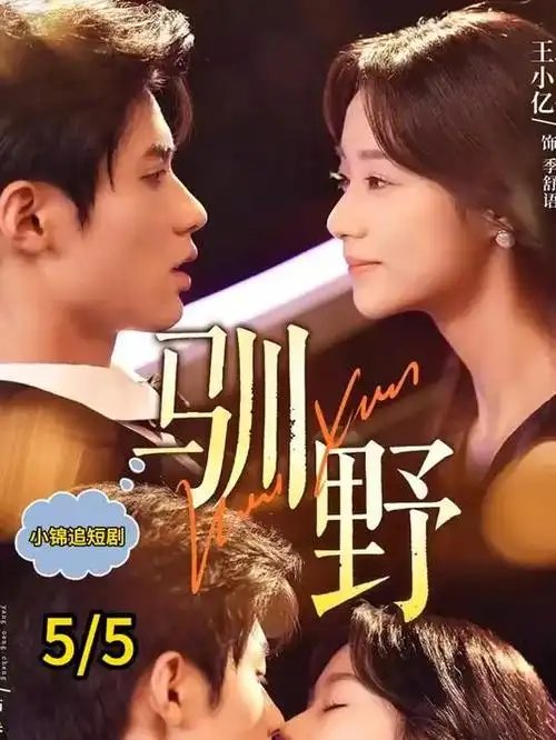 玫瑰的故事 都市情感剧在线观看